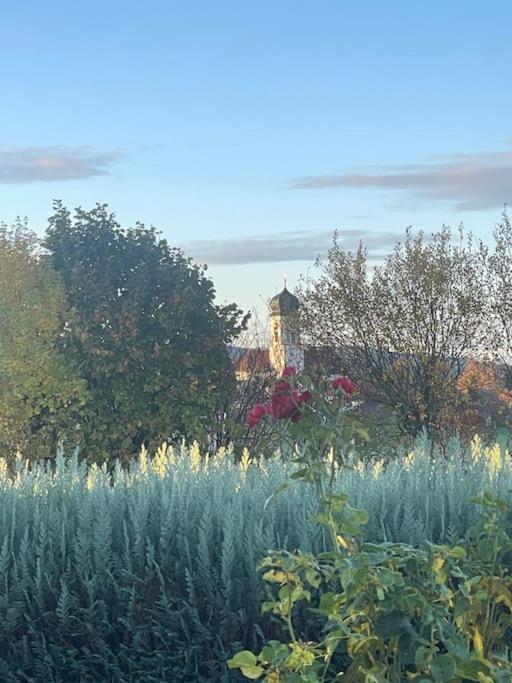 Panorama Saentisblick Apartment Hergatz Bagian luar foto