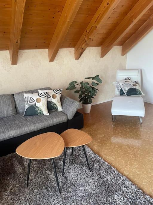 Panorama Saentisblick Apartment Hergatz Bagian luar foto