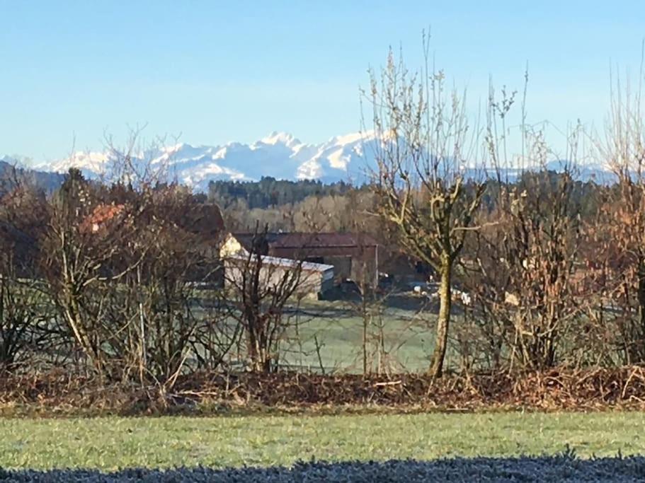 Panorama Saentisblick Apartment Hergatz Bagian luar foto